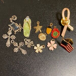 Assorted Gold and Silver Charms/Pins